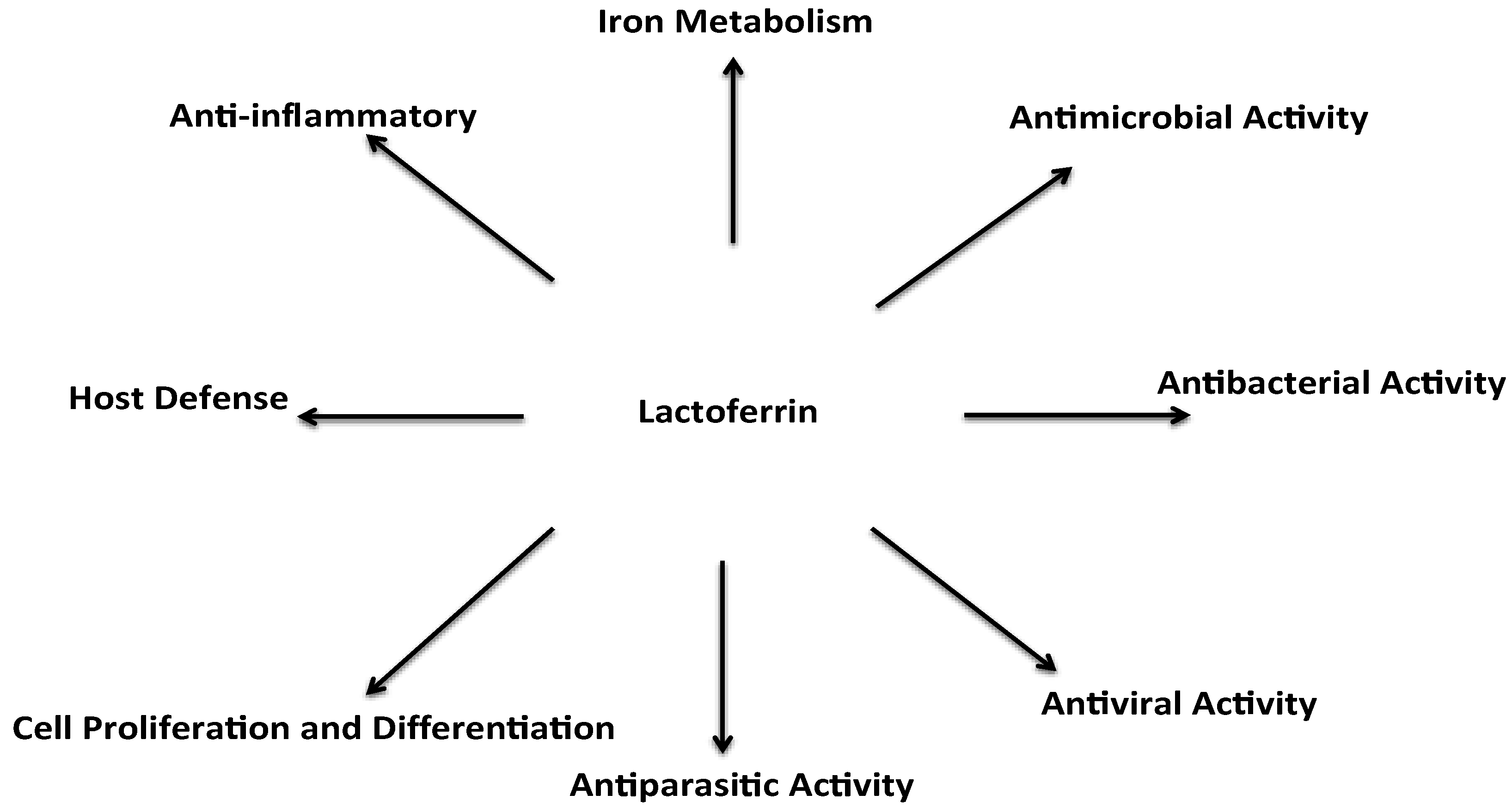 Lactoferrin Wirkung