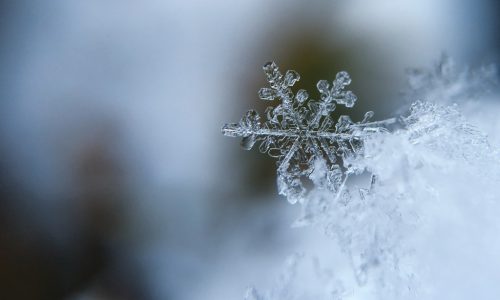 Ernährung Serie: Von Kalorien zur Quantenphysik – Teil V: Die vierte Phase des Wassers Teil 1